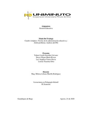 Cuadro Sinóptico Y Análisis Del Pei