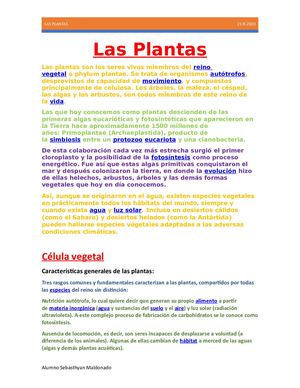 Qué Son Las Plantas