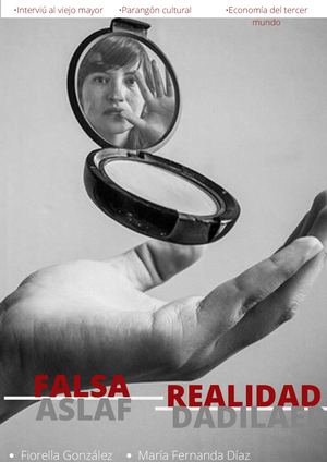 Falsa Realidad
