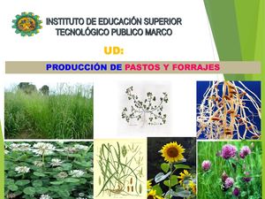 Semana 02 Terminologia Forrajera