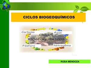 Sip Ciclos Biogeoquimicos