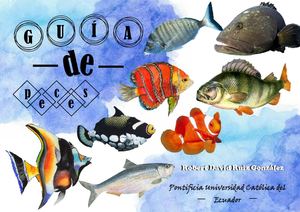 Guia De Peces