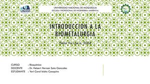 Mapa Conceptual Introduccion A La Biometalurgia