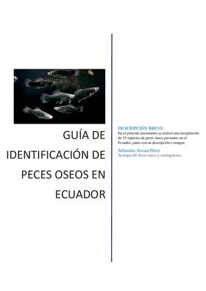 Recopilación - Guía De Peces Óseos En Ecuador