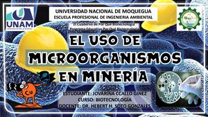 El Uso de los microorganismos en la Minería