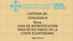Guía De Identificación Para Peces ÓSeos En Ecuador