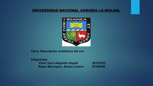 Descripción Anatómica Del Ave