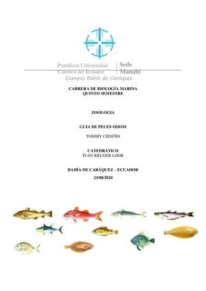 Guia De Peces Oseos