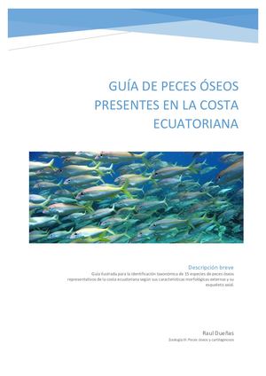 Guía De Peces óSeos