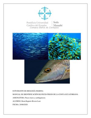 Manual Para La Identificación De Peces Óseos Del Ecuador