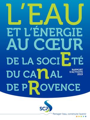 Rapport d'Activité 2019 - SCP - édition Juillet 2020