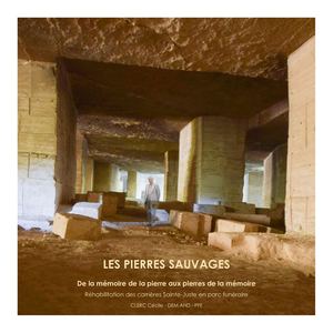Notice PFE (Projet de Fin d'Etudes) Les Pierres Sauvages Clerc Cécile Compressed