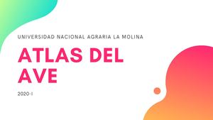 Atlas Del Ave