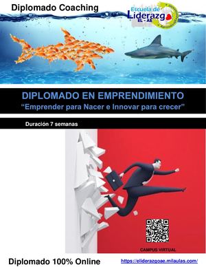 Brouchure Diplomado Emprendimiento ENIC