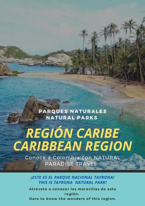 Volante Región Caribe