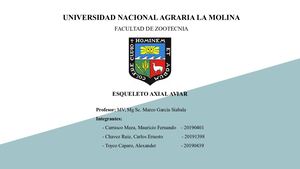 Descripción morfológica de los huesos de un ave.