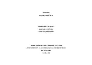 Ergonomía Cuadro Sinóptico