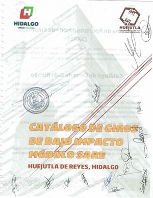 Catálogo De Giros De Bajo Impacto Modulo Sare, Huejutla De Reyes (Actualizado) Opt