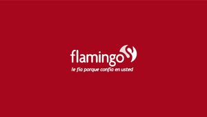 Flamingo Información
