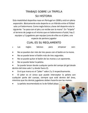 Trabajo Sobre La Tripela