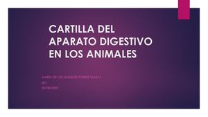 Cartilla Del Aparato Digestivo En Los Animales