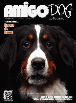 Revista AmigoDOG&CAT E-56-31 Digital