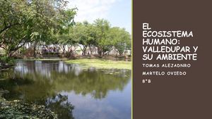 El Ecosistema Humano Valledupar Y Su Ambiente Tomas Martelo