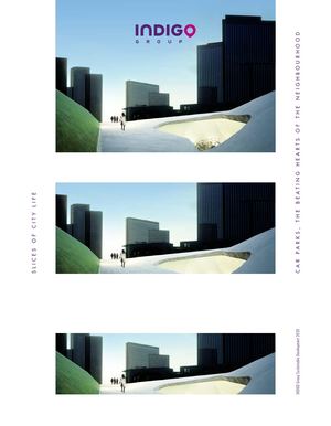 Indigo Sustainable Dev Brochure ES