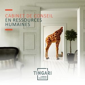 TINGARI - Brochure DCRH 2020