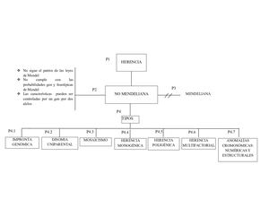 Herencia No Mendeliana