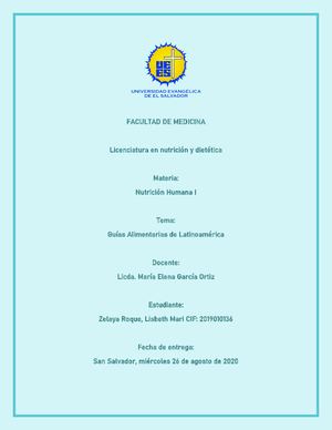 Guias Alimentarias De Latinoamerica