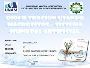 Maqueta Humedal Artificial Usando Macrofitos