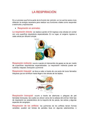 Taller De Biologia 10