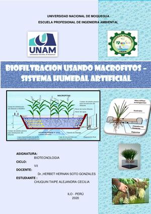 Humedal Artificial Usando Macrofitos