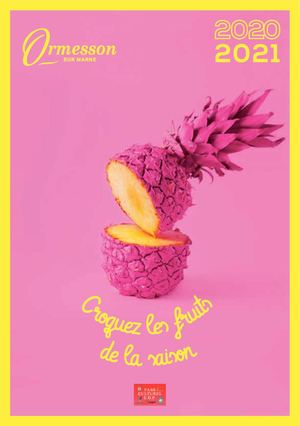 Ormesson Programme Culturel