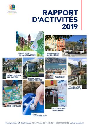 Carf Rapport D'activite 2019