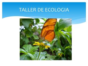 Actividades Taller De Ecologia (Semana 20)