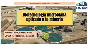 Biotecnologia Aplicada La Mineria