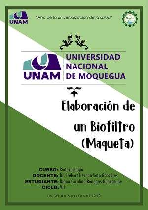 Elaboración De Un Biofiltro (Maqueta)