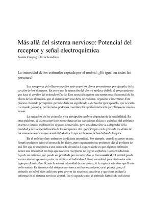 Más Allá Del Sist Nervioso Potencial Del Receptor Y Señal Electroquímica Crespo