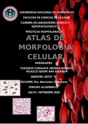 Atlas Morfologia Celular