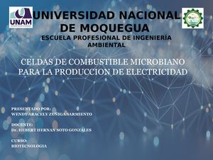 Celdas De Combustible Microbiano