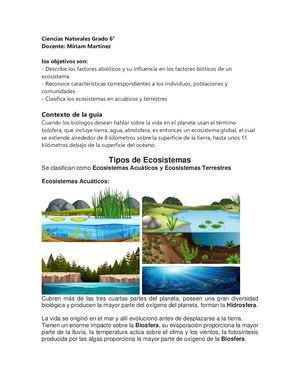 Tipos De Ecosistemas