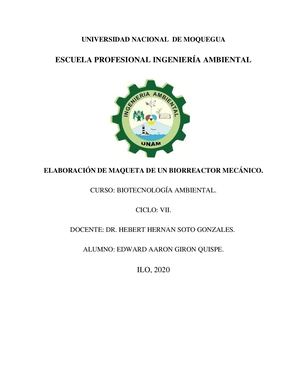 Informe De Biorreactor Mecánico