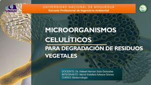 Microorganismos Celulíticos 1