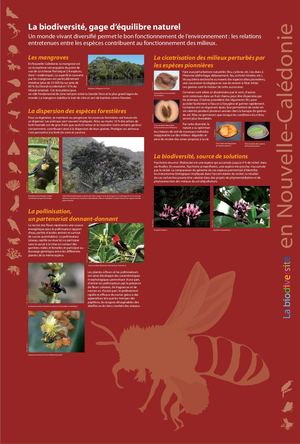 Biodiversité mon trésor - Nouvelle-Calédonie