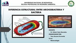 Archaebacteria Y Bacterias