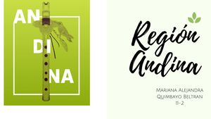 Region Andina