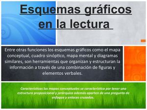 Esquemas Gráficos En La Lectura