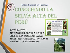 Ecorregiones Selva Alta